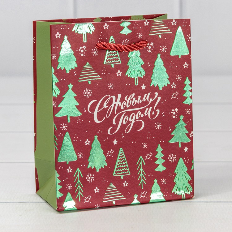 Пакет подарочный "Новый год" (407) 12*15*6,7 210г 1/20 1/240 Арт: 300407H