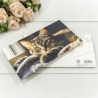 Конверт подарочный 16,5*9см 361 1/10 1/250 Арт: 003004/361