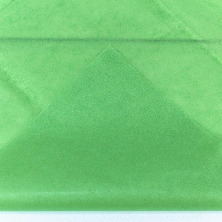 Бумага в листах "Тишью" 50*66 (10 шт.) Светло-зелёный 1/250 Арт: 0001337/25