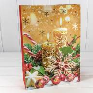 Пакет подарочный &quot;Новый год&quot; (микс 420) 30*41,5*12 210г 1/20 1/120 Арт: 300420A - Пакет подарочный "Новый год" (микс 420) 30*41,5*12 210г 1/20 1/120 Арт: 300420A