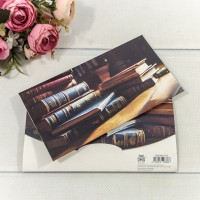 Конверт подарочный 16,5*9см 353 1/10 1/250 Арт: 003004/353