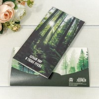 Конверт подарочный 16,5*9см 303 1/10 1/250 Арт: 003004/303