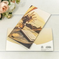 Конверт подарочный 16,5*9см 306 1/10 1/250 Арт: 003004/306
