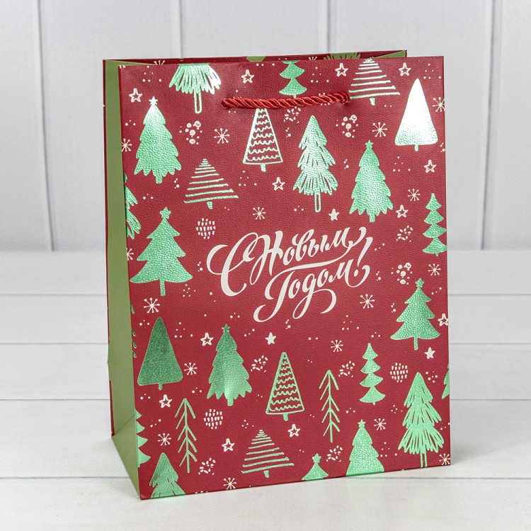 Пакет подарочный "Новый год" (407) 18*23*10 210г 1/20 1/160 Арт: 300407E