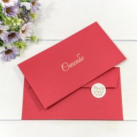 Конверт подарочный 16,9*9,4см 1422 1/10 1/250 Арт: 003014/22