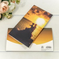 Конверт подарочный 16,5*9см 321 1/10 1/250 Арт: 003004/321